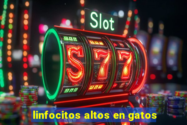 linfocitos altos en gatos